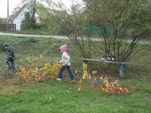 GEDC1274 вул. Садова