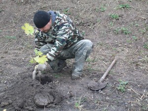 GEDC1410 вул. Садова