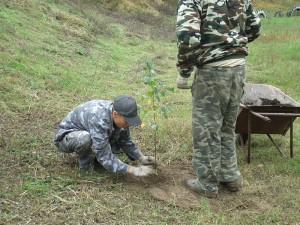 GEDC1425 вул. Садова