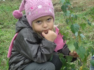 GEDC1468 вул. Садова